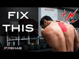 Pin On Mobility Stability Wod