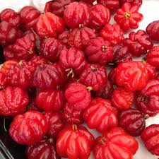 Güneyinde brezilya, batısında guyana, doğusunda fransız guyanası yer alır. Surinam Cherries Cherry Recipes Types Of Fruit Fruit Trees