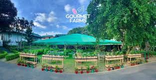 Official statistics as of 2015 it provides eight uniquely designed chocolate themed rooms, spacious lobby, dining area, seminar rooms, infinity spa and a sprawling garden. The Dining Room At Gourmet Farms Home Silang Cavite Menu Prices Restaurant Reviews Facebook