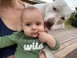 James Darren, actor and singer, passes away at 88