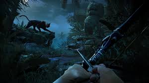 Image result for far cry 3