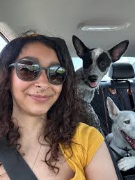 How to teach puppies to swim?