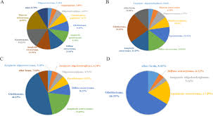 This is based on the department of in 2019, the average size of malaysian households was 3.9 persons. Establishment Of Age Group Classification For Risk Stratification In Glioma Patients Bmc Neurology Full Text