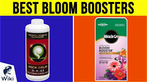 Orchid bloom booster provides lower nitrogen & higher potassium. 10 Best Bloom Boosters 2019 Youtube