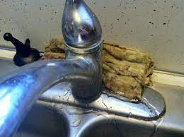 We did not find results for: What To Do With Leaky Sink Home Improvement Stack Exchange