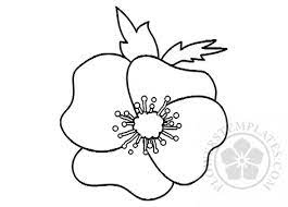 Poppy flower coloring page to color, print or download. Poppy Flower Coloring Page Flowers Templates