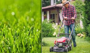 When To Cut Grass Is It Too Early To Cut The Grass Express Co Uk