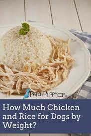How Much Chicken And Rice For Dogs By Weight Patchpuppy Com In 2020 Dog Food Recipes How To Cook Rice Small Meals