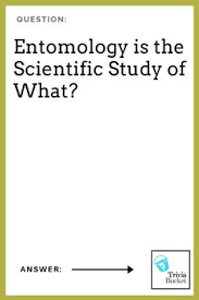 Challenge yourself with howstuffworks trivia and quizzes! 21 Science Trivia Ideas Science Trivia Science Facts Science For Kids