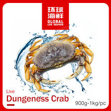 Often, finding the freshest live seafood in vancouver means hunting through a live seafood market for the best finds. Qoo10 Global Live Seafood Live Dungeness Crab 900g 1kg Each Meat Seafood