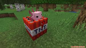 If it doesn't, click here. Axolotls Mod 1 15 2 Adorable Unique Creatures 9minecraft Net