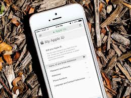 How To Change The Email Address Associated With Your Apple Id Iphone This Or That Questions Ipad Hacks