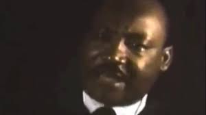 The Sunflower Coalition