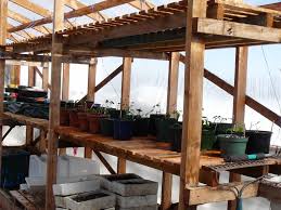 The yella wood greenhouse is a greenhouse plan designed for those that wish to build with wood. Greenhouse Shelves Houzz