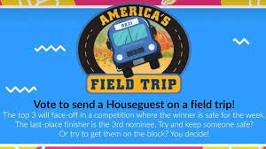 22 Tips on How to Prepare for Big Brother Field Trip