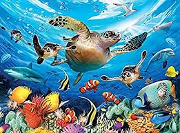 Shop sea turtle jigsaw puzzles from cafepress. Amazon Com Turtle Trek 1000 Pieces Of Jigsaw Puzzles Suitable For Adults Sea Sight Puzzle Game Artwork Jigsaw Puzzle Game Assembly Toys Games