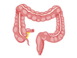 Buna ziua am sotul bolnav de pancreatita acuta edematoasa si as dori sa stiu daca ceaiu de radacina de brusture este recomandat si in pancreatita acuta. Max Medica Nutritie Si Gastroenterologie 0770730355