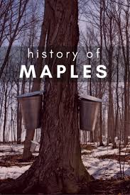 About 15% of these are artificial plant. History Of Maples Historical And Modern Maple Tree Uses Gardening Know How S Blog