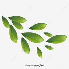 Check spelling or type a new query. Gambar Bahan Daun Hijau Vektor Hijau Vektor Daun Daun Daun Hijau Png Transparan Clipart Dan File Psd Untuk Unduh Gratis