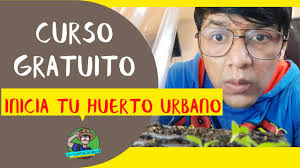 Iniciando tu Huerto Urbano Agroecologico