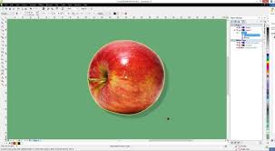 But when you have proper knowledge of how to remove background in photoshop, it will not seem so hard because this is a pretty basic thing to do in photoshop. Coreldraw Graphics Suite Tutorials