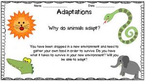 Animal Adaptations Activity Animal Adaptations Activities Adaptations Activities Animal Adaptations
