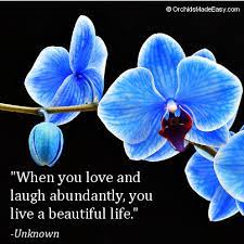 Orchid Quote Live A Beautiful Life Orchidsmadeeasy Com Beautiful Orchids Blue Orchids Orchids