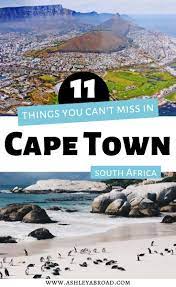 11 Unique Things To Do In Cape Town South Africa Travel Africa Travel Africa Travel Guide
