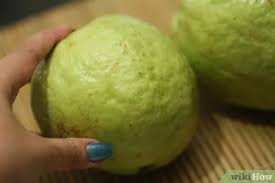 The main signs of guava ripeness are color and smell changing. How To Eat Guava 12 Steps With Pictures Wikihow