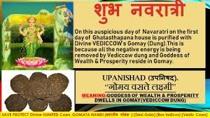 The Ritual Of Ghatasthapana In Navratri Is Incomplete Without The Vediccow Dung Happynavratri Happy Navratri Negative Energy Divine