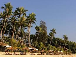 Ngapali beach, as the name suggests, is located next to the sea, so it stands to reason that most restaurant menus features. Guide To Ngapali Beach Hotels Restaurants And Sights Indiana Jo