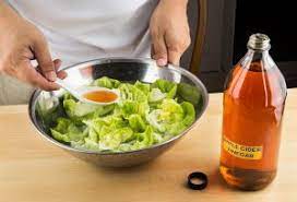 Apple Cider Vinegar In Pregnancy Benefits Risks