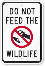 Please do not feed the birds! Do Not Feed Wildlife With Graphic Sign Warning Sign Sku K 5263 Sku K 5263
