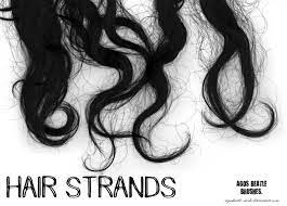 Brushes Hair Strands