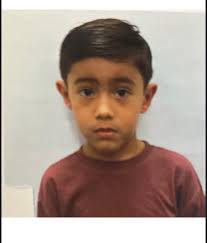 Karate software for tournaments: the best software for the rapid  development of any Karate Tournament: Registrations