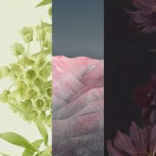 The wallpaper of android 12, coming from the russian website wylsa, is available in several keeping up with the tradition, the company is continuing with the minimal design for the wallpaper. Download Android 12 Leaked Wallpapers Full Hd Resolution Mi Deals