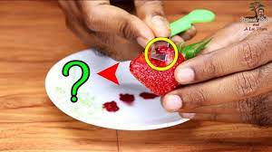 How To Grow Strawberries From Seed Easily In Pot Complete Guide Growing Strawberries Growing Growing Fruit