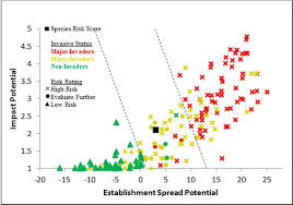 Image result for Bothriocline laxa