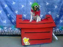 Pin On Halloween For The Dogs