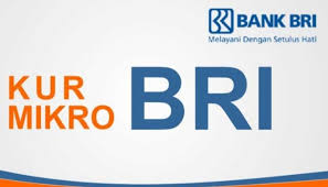 Check spelling or type a new query. Kur Bri Co Id 2021 Pinjaman Untuk Usaha Rakyat Agenbrilink Net
