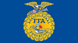 Pixie dust, magic mirrors, and genies are all considered forms of cheating and will disqualify your score on this test! Local Ffa Members Compete For Indiana Ffa State Office Eagle Country 99 3