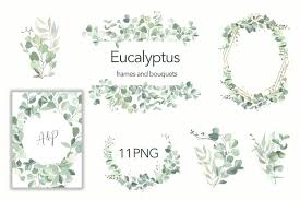 Printer for printing the pattern (pattern is once the pattern is on the fabric, place the fabric into the hoop with the design centered as shown. Watercolor Eucalyptus Wreath Clipart 583057 Decorations Design Bundles