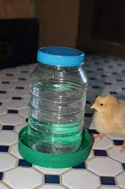 Check spelling or type a new query. Miss 6th Grade Cutie With Pencil And Stars Women S T Shirt In 2021 Chicken Feeder Diy Chicken Waterer Diy Chicken Feeders