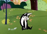 We did not find results for: Pepe Le Pew Gifs Get The Best Gif On Giphy