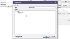 Skyrim script extender vortex or skse64 vortex is a tool used by skyrim mods to extend the scripting abilities of the game. Skse64 Mo2 Installation 2019 Skyrim Se Modding Guide Ai Cave