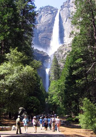 Lower Yosemite Fall Trail - Yosemite National Park (U.S. National Park  Service)