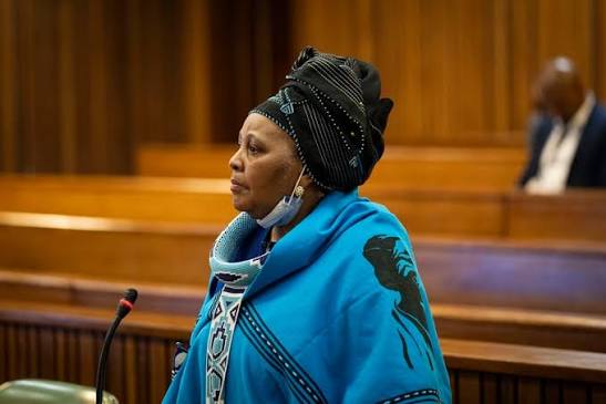 Snuff, padkos' - Mapisa-Nqakula denies coded money pact in corruption trial testimony | News24