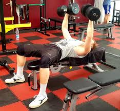 Evolve - Palestre - Personal Trainer - Corsi di Fitness - Corsi di Zumba -  Corsi di Pilates - Corsi in Palestra - Esercizi a Corpo Libero - Circuiti  Cardio - Allenamenti