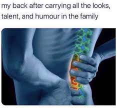 My Back After Carrying All The Looks Talent And Humor In The Family Meme Shut Up And Take My Money