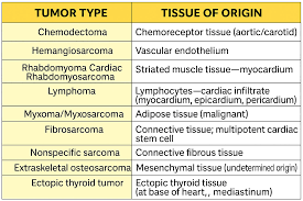 Image result for Chemodectoma